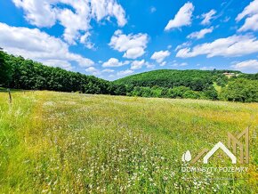 Veľkorysý, 2,5 ha pozemok v Krupine - časť Kopanice - 4