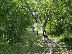 Záhrada s chatkou v Nitre, Dražovce - 4