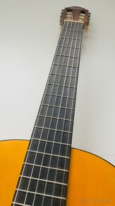 Gitara - 4