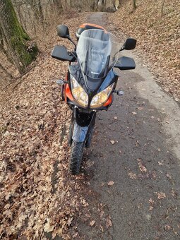 Suzuki DL 650 v-strom - 4