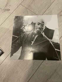 LP Platňa 2pac Me Against The World - 4