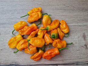 Čili (mleté) chilli prasok dnes 2€ - 4