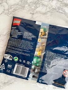 LEGO® Harry Potter 30651 Famfrpálový tréning (polybag) - 4