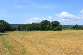 Poľnohospodárske pozemky na predaj - Horná Strehová - 4