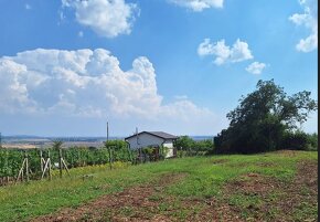 Predaj rekreačného pozemku - Rybník - 4