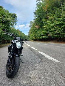 Suzuki SFV650 Gladius - 4