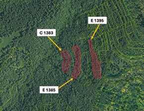 Filier – 9.746 m2 LES NA PREDAJ - 4