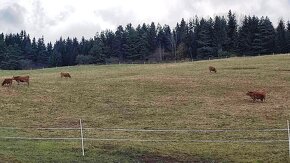 ID: 051-14-STK Pozemok v Liptovskom Mikuláši časť Okoličné n - 4