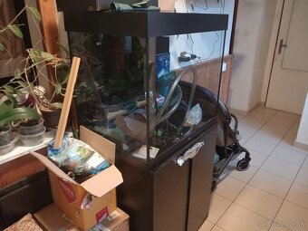 Predam.aquarium 250l juwel - 4