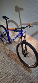 Specialized Rockhopper Sport 2024 - 29" Gloss Sapphire - 4