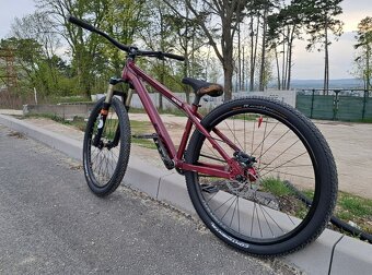 CTM Dirtking Custom - 4