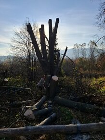 Rizikový výrub a orez stromov, kosenie a údržba pozemkov - 4