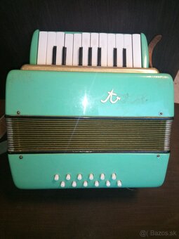 Retro harmonika artis v kufri - 4