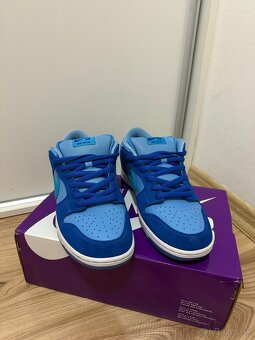 Nike SB dunks low blueraspberry - 4