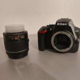 Nikon D3500 Kit, AF-P DX NIKKOR 18-55 mm, f/3.5-5.6G VR Lens - 4