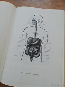 F.Kiss, J.Szentágothai - Atlas anatómie človeka 3 časti - 4