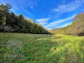 NOVÁ CENA Rekreačný pozemok pod horou v Beckove, 10.146 m2,  - 4