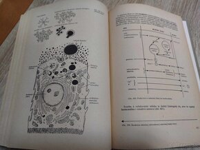 Fyziológia živočíchov a človeka--1980-- Paulov Štefan--počet - 4