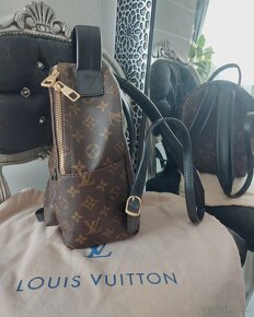 Lv palm spring - 4