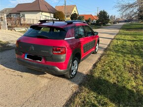 C4 cactus - 4