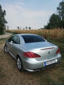 PEUGEOT 307cc 1.6i - 4