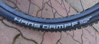 Schwalbe Hand Dampf - 4