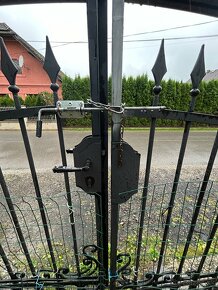 Kovaná brána + bránka pozink - 4