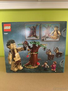 LEGO Harry Potter 76400 75967 76387 - 4