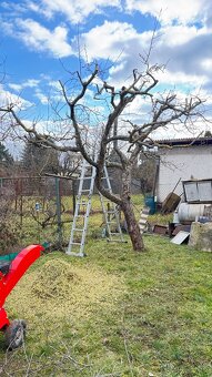 OREZÁVANIE A STRIHANIE OVOCNÝCH STROMOV - KOŠICE - 4