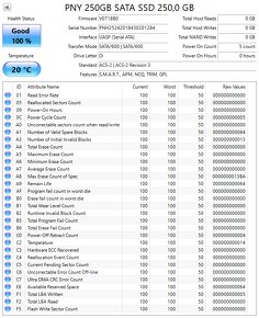 2,5" SSD GO Infinity / PNY / Goldenfir 250GB - 4