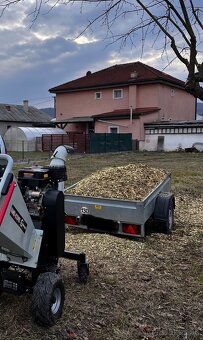 Rez a štiepkovanie drevín, zakladanie ovocných sadov … - 4