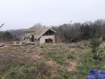 VILLA-RODINNÁ KÚRIA na PREDAJ pri meste Dunajská Streda - 4