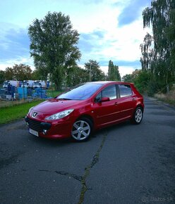 Peugeot 307 180 Platinum - 4