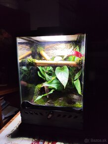 Terarium Exo terra - 4