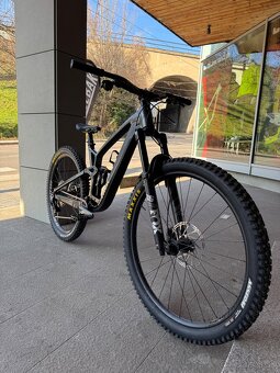 Custom Trek Fuel Ex - 4