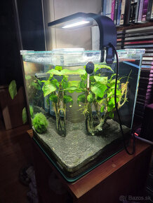 20L Nano akvárium - 4