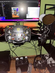 Thrustmaster T300 servo + Thrustmaster SF1000 Add-on - 4