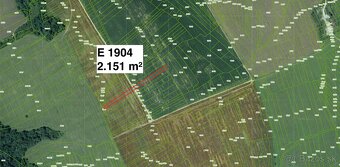 Lubina – Poľnohospodárske pozemky v 1/1 - 4