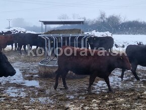 Slovenský výrobca KOVOORAVA -ohradníky,kŕmidlá ,válovy - 4