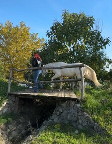 Obsadanie, výcvik, sprostredkovanie predaja - 4