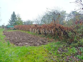 BÜTTÖS - Maďarsko RD vhodný na celoročné bývanie alebo chalu - 4