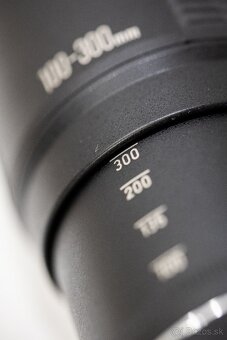 Canon EF 100-300mm f/5.6L - 4