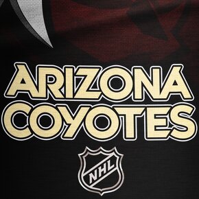 Multifunkčná šatka, nákrčník ARIZONA COYOTES - 4