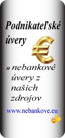 Finančné služby pre podnikateľov - 4