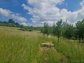 Predaj / Pozemok neďaleko mesta s ľahkou dostupnosťou na pol - 4