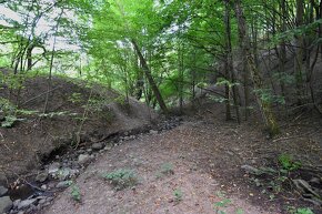 NOVINKA Stavebný pozemok okolie Žarnovica (Žarnovic - 4