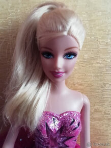 Barbie s copikmi, kniha Barbie - 4