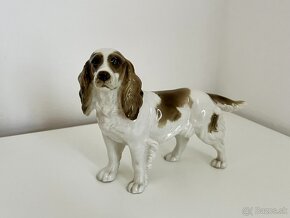 Porcelanovy pes springerspaniel Hutschenreuther - 4