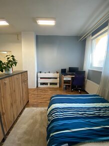 Plne zariadený 1 izbový apartmán pri veterine - 4