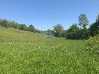 Pekný pozemok (3,2ha) na Hrušove okres Veľký Krtíš. - 4